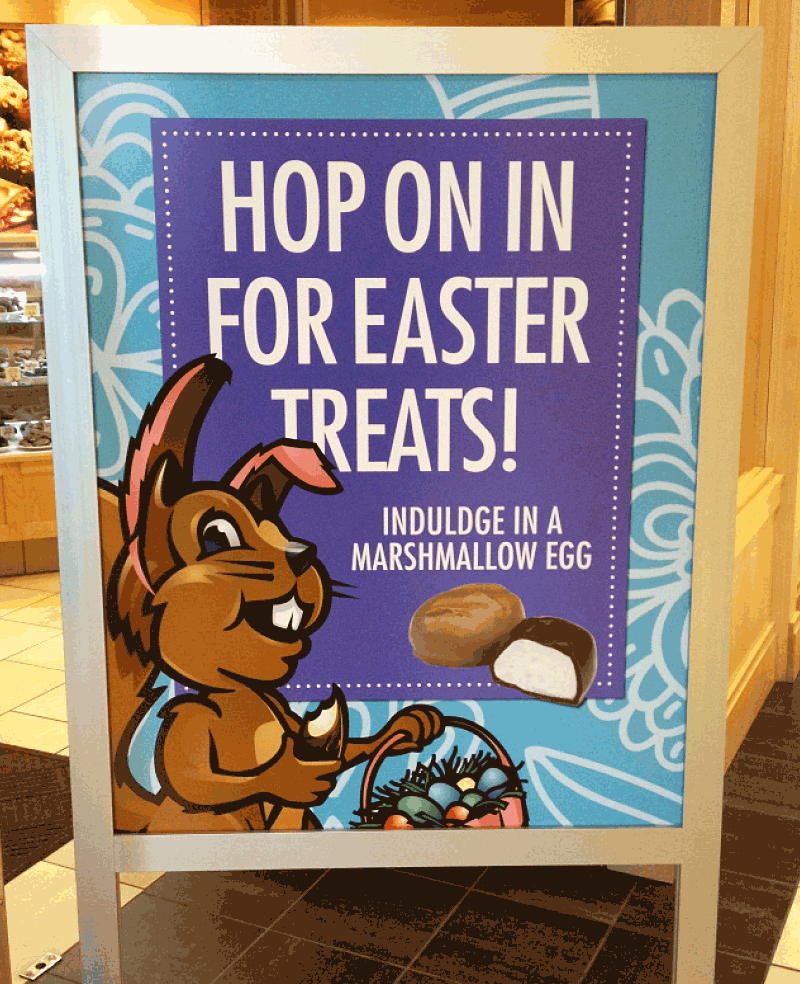 Buddy Squirrel Truck